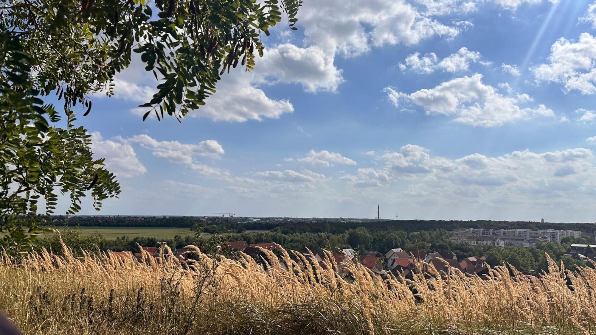 Ruhige Abgelegene Grune Oase Leipzig